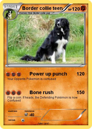 Pokemon Border collie teen