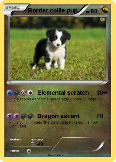 Pokemon Border collie pup