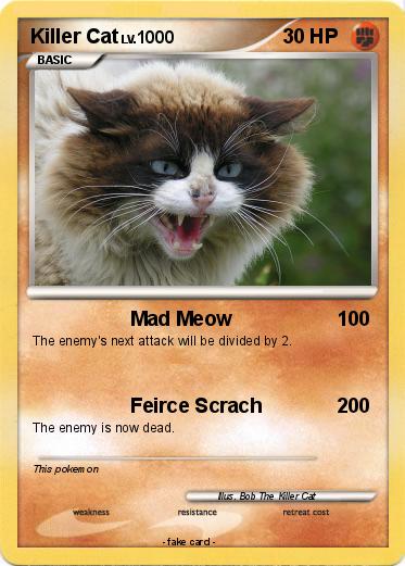 Pokemon Killer Cat