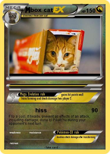 Pokemon box cat