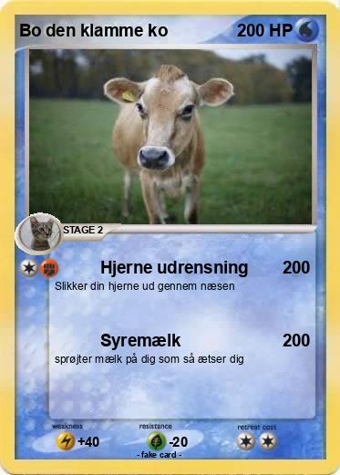 Pokemon Bo den klamme ko