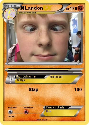 Pokemon Landon