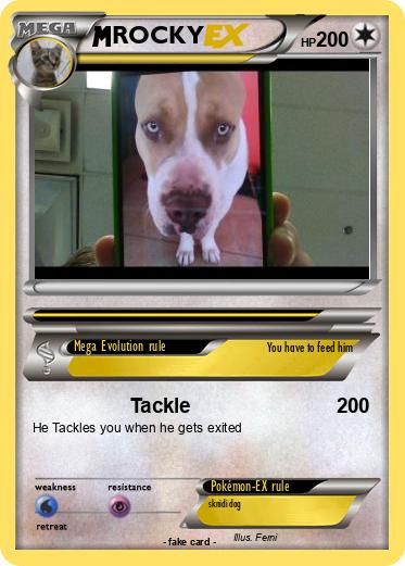 Pokemon ROCKY