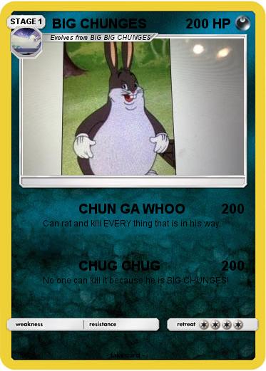 Pokemon BIG CHUNGES