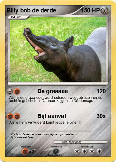 Pokemon Billy bob de derde