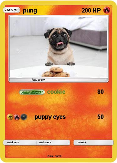 Pokemon pung