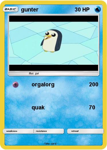 Pokemon gunter
