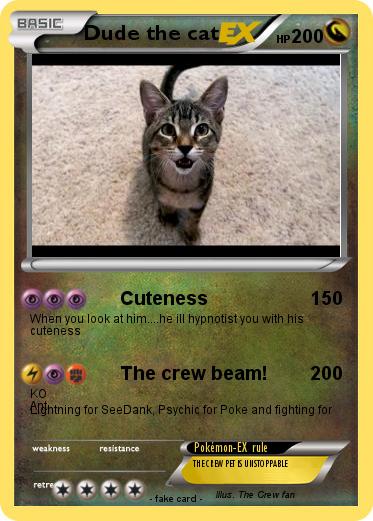 Pokemon Dude the cat
