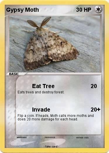 Pokemon Gypsy Moth