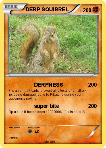 Pokemon DERP SQUIRREL