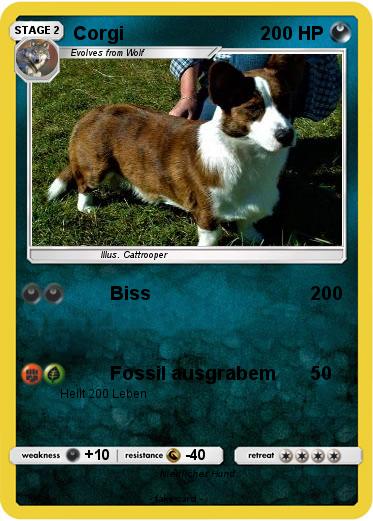 Pokemon Corgi