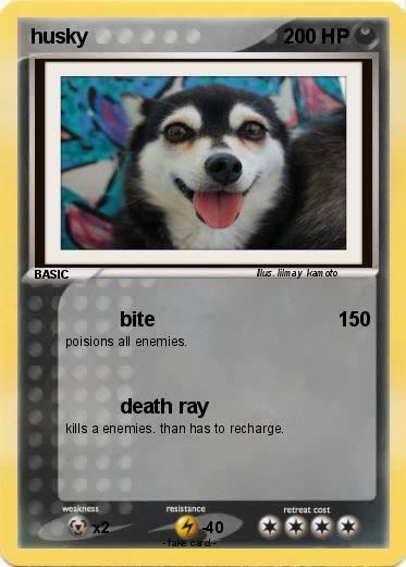 Pokemon husky