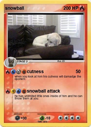 Pokemon snowball