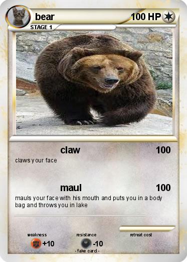 Pokemon bear