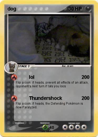 Pokemon dog