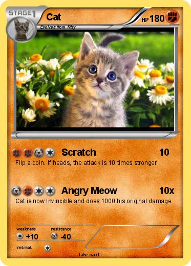 Pokemon Cat