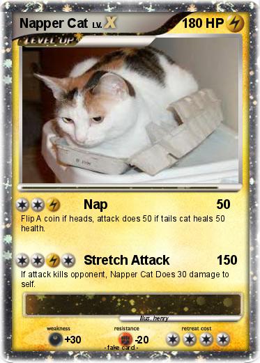 Pokemon Napper Cat