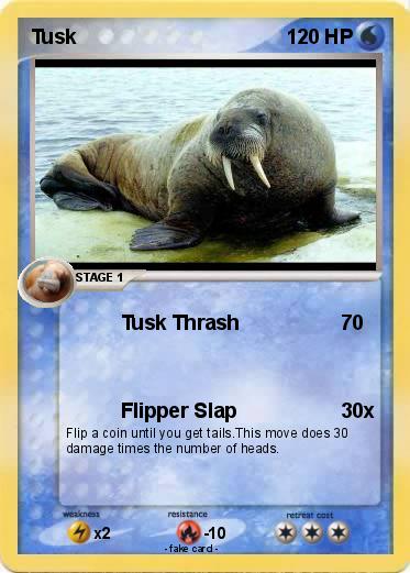 Pokemon Tusk