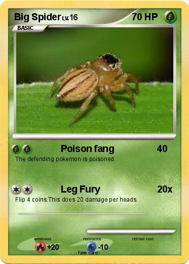 Pokemon Big Spider