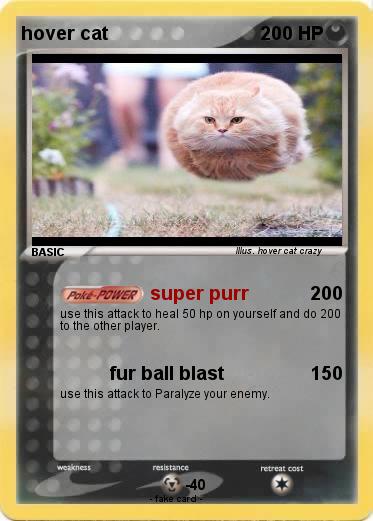 Pokemon hover cat