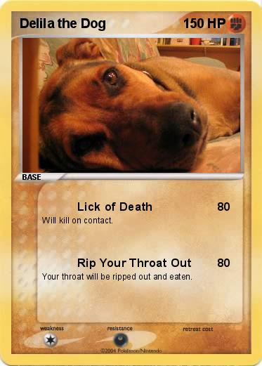 Pokemon Delila the Dog
