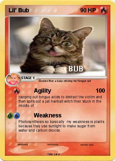 Pokemon Lil' Bub
