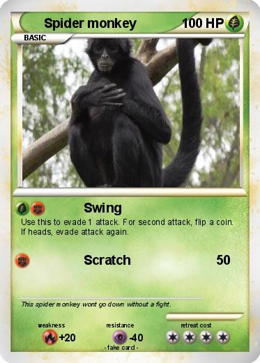 Pokemon Spider monkey