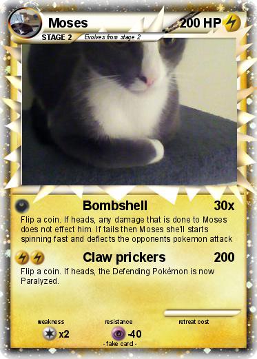 Pokemon Moses