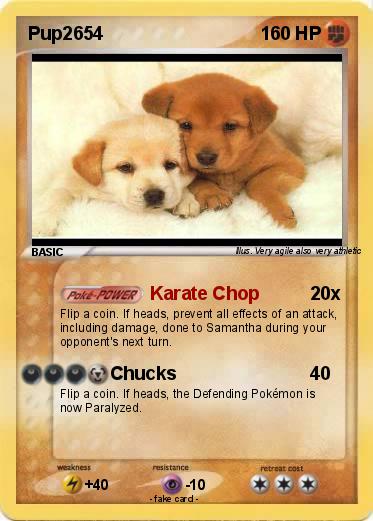 Pokemon Pup2654
