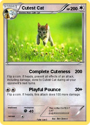 Pokemon Cutest Cat