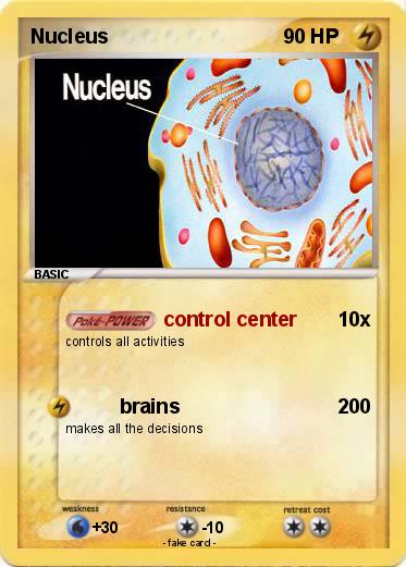 Pokemon Nucleus