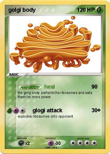 Pokemon golgi body