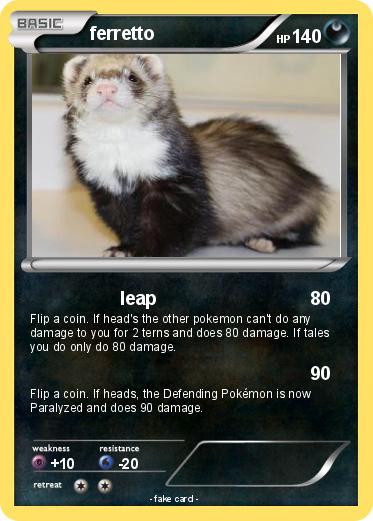 Pokemon ferretto