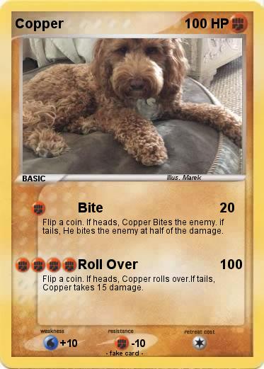 Pokemon Copper