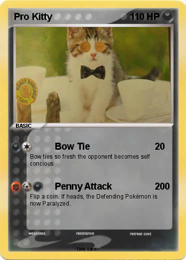 Pokemon Pro Kitty
