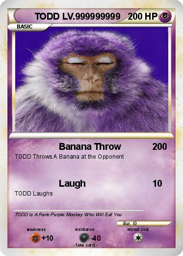 Pokemon TODD LV.999999999
