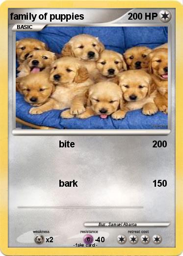 Pokemon family of puppies
