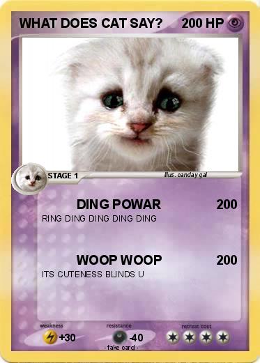 Pokemon WHAT DOES CAT SAY?