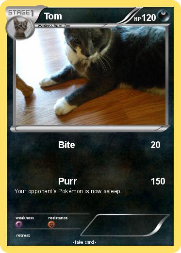 Pokemon Tom
