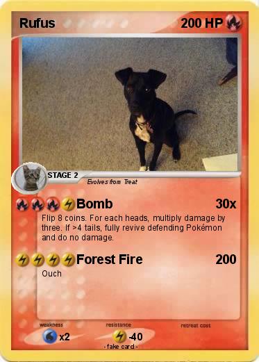 Pokemon Rufus