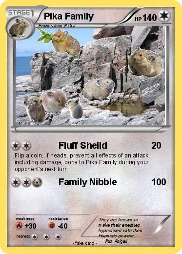 Pokemon Pika Family