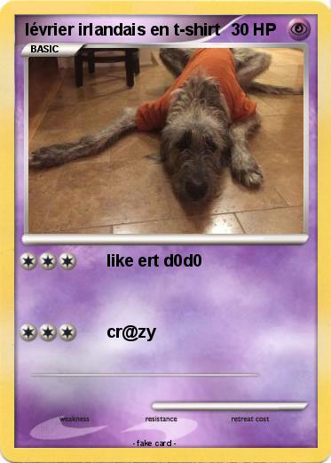 Pokemon lévrier irlandais en t-shirt