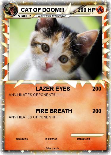 Pokemon CAT OF DOOM!!!