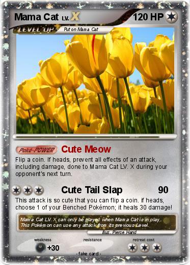 Pokemon Mama Cat