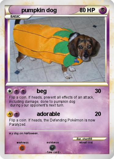 Pokemon pumpkin dog