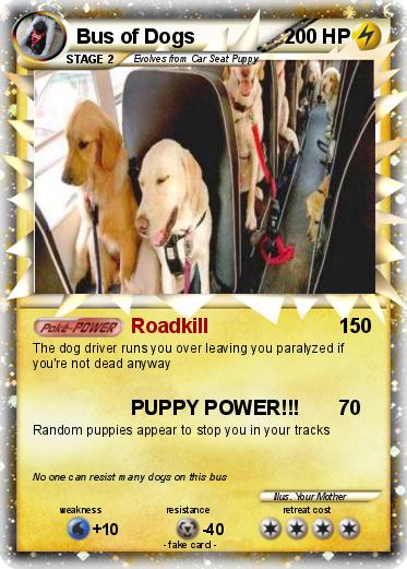 Pokemon Bus of Dogs