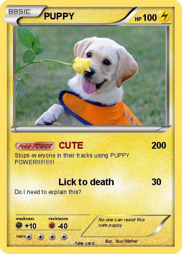 Pokemon PUPPY