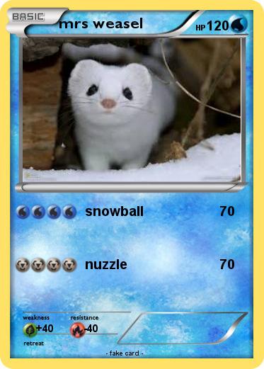 Pokemon mrs weasel