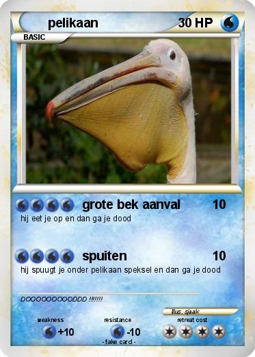 Pokemon pelikaan