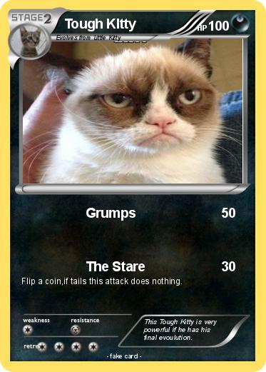 Pokemon Tough KItty